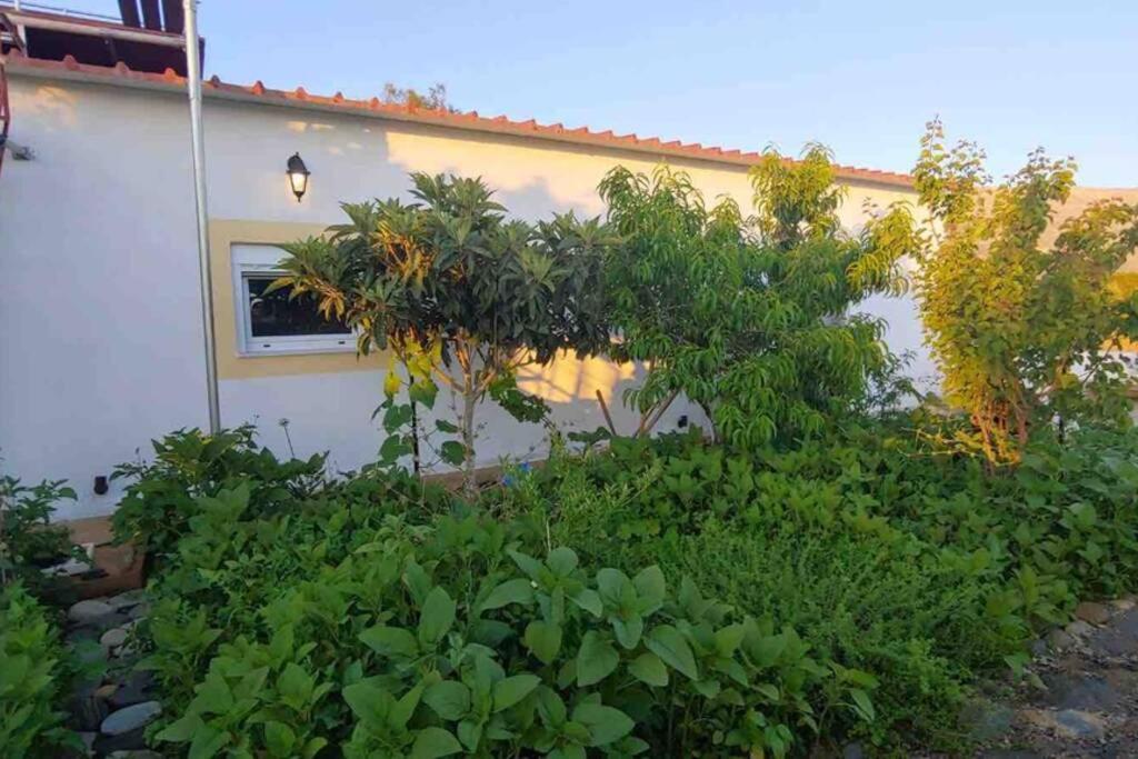 Cape Maleas Villa Agios Nikolaos  Exterior foto